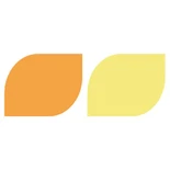 রঙ্গক হলুদ 13