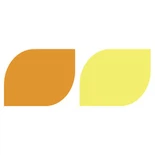 রঙ্গক হলুদ 150