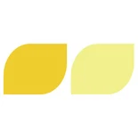 রঙ্গক হলুদ 154